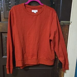 Treasure & Bond Rust Crewneck Sweater Rusty Orange Color.